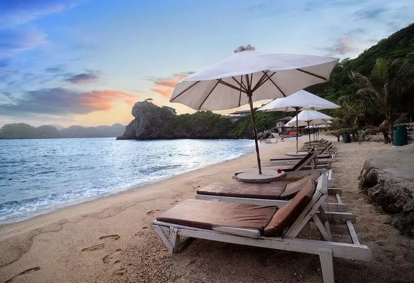 هتل Monkey Island Resort