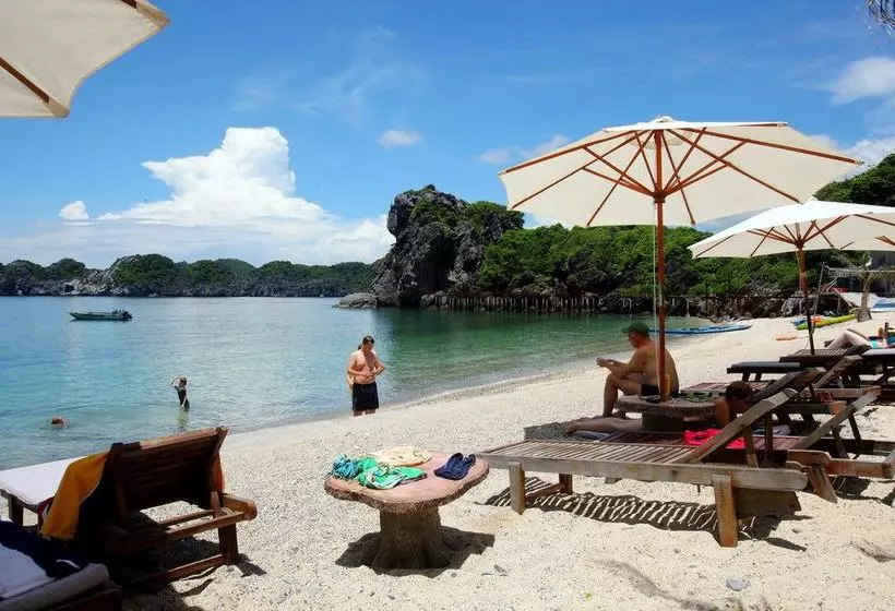 هتل Monkey Island Resort