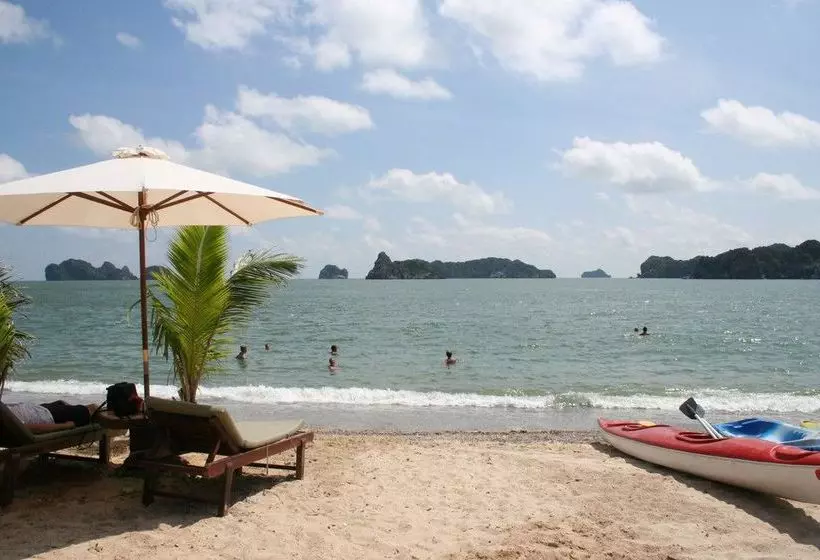 هتل Monkey Island Resort