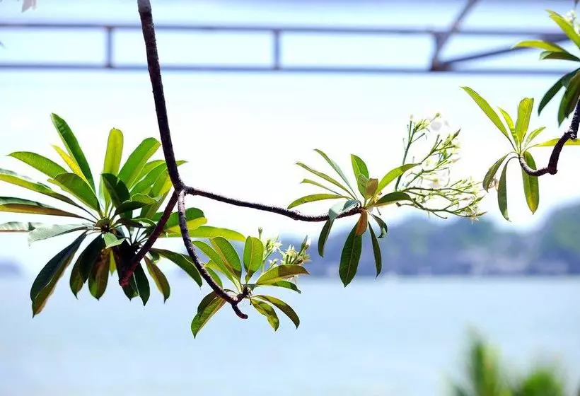 هتل Monkey Island Resort