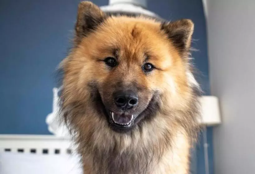 בית מלון כפרי Oceanside Lifestyle