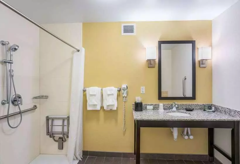 Отель Sleep Inn & Suites Hannibal