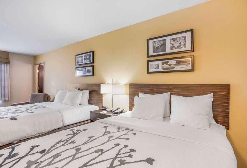 Отель Sleep Inn & Suites Hannibal