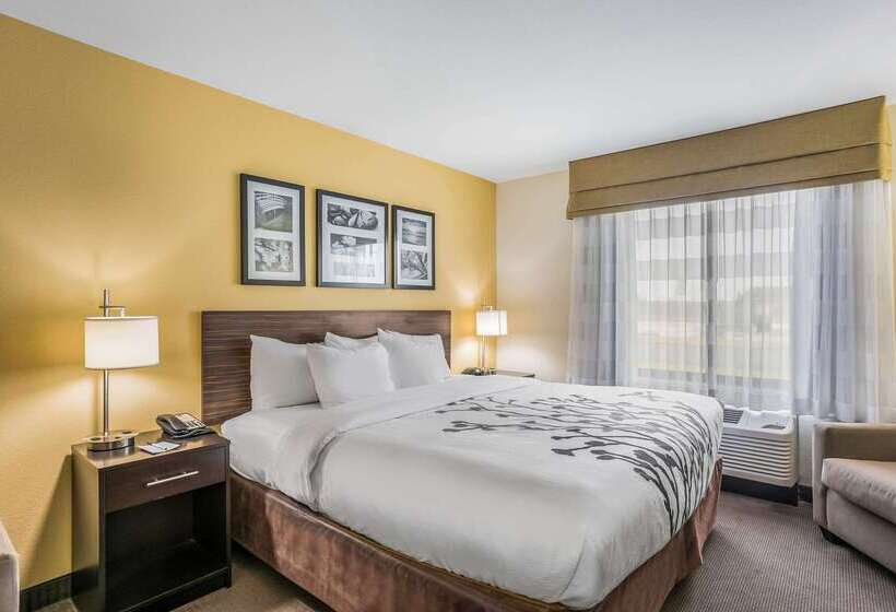 Отель Sleep Inn & Suites Hannibal