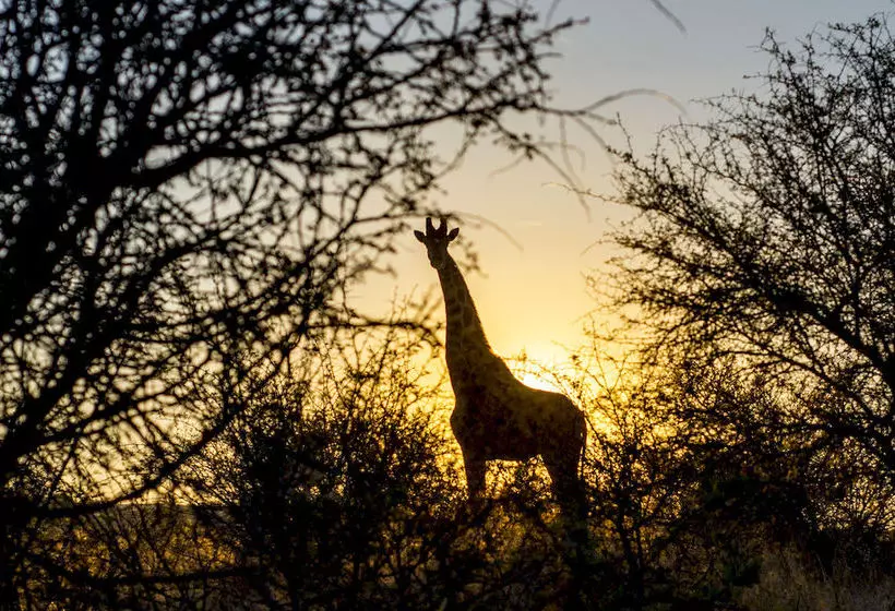 هتل Sun Karros Daan Viljoen