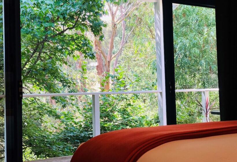 Отель The Dudley Boutique