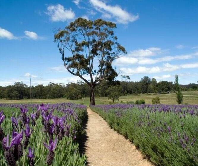 Отель The Dudley Boutique