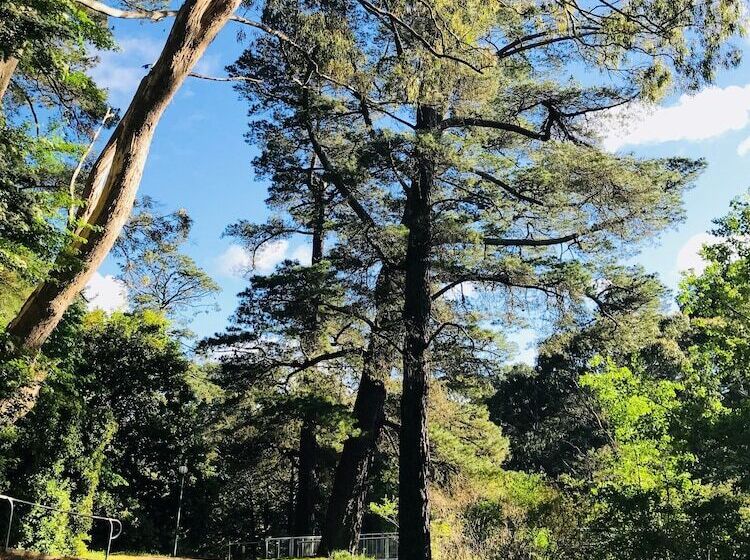 Отель The Dudley Boutique