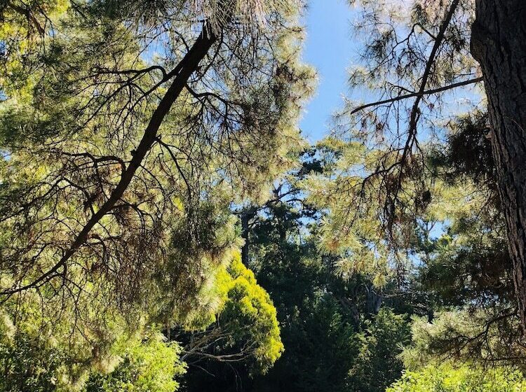 Отель The Dudley Boutique