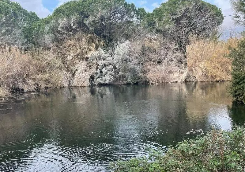 Residence La Canova Ii