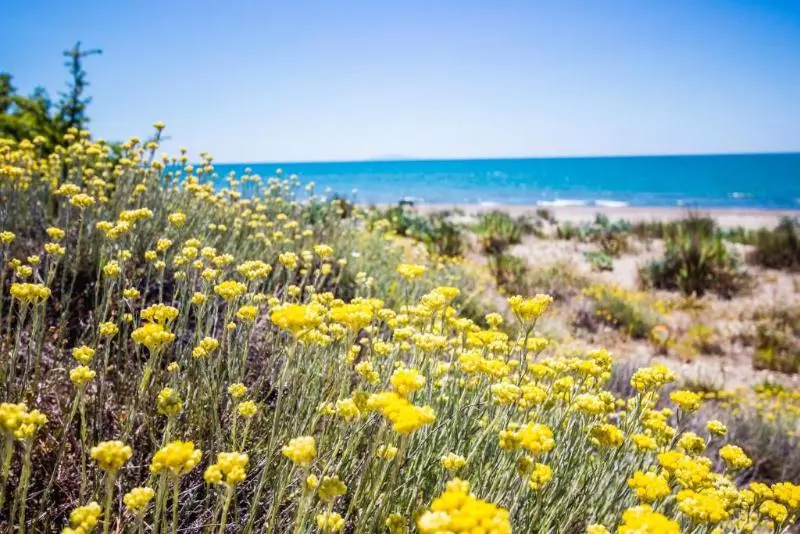 Residence La Canova Ii