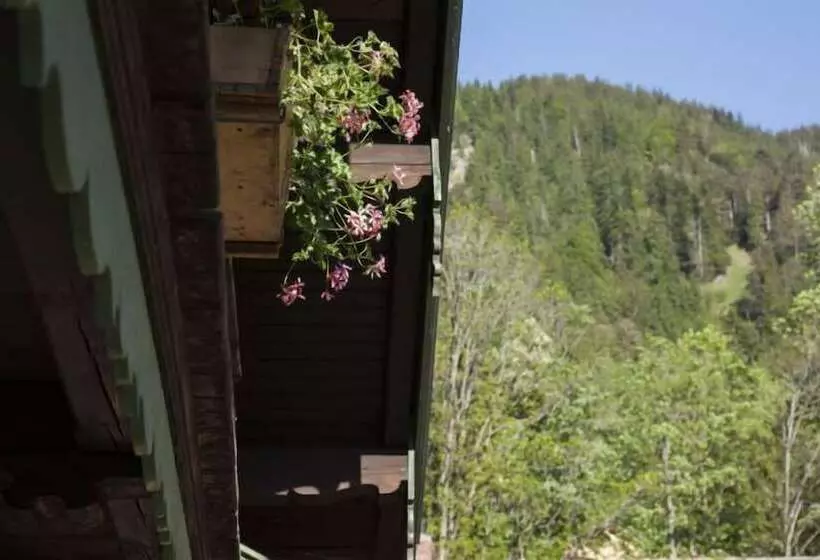 Tannerhof Naturhotel & Gesundheitsresort