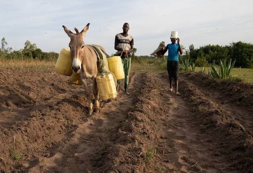 Bed and Breakfast Korona House