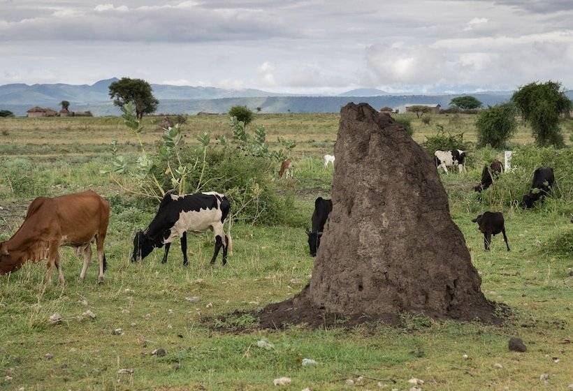 Bed and Breakfast Korona House