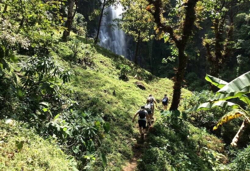 Bed and Breakfast Korona House