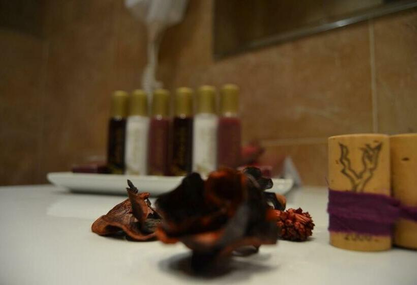 酒店 Complejo Enoturístico Finca La Estacada