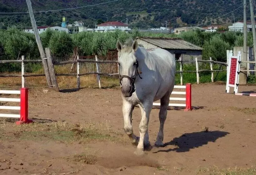 호텔 Corte Dei Greci Resort & Spa