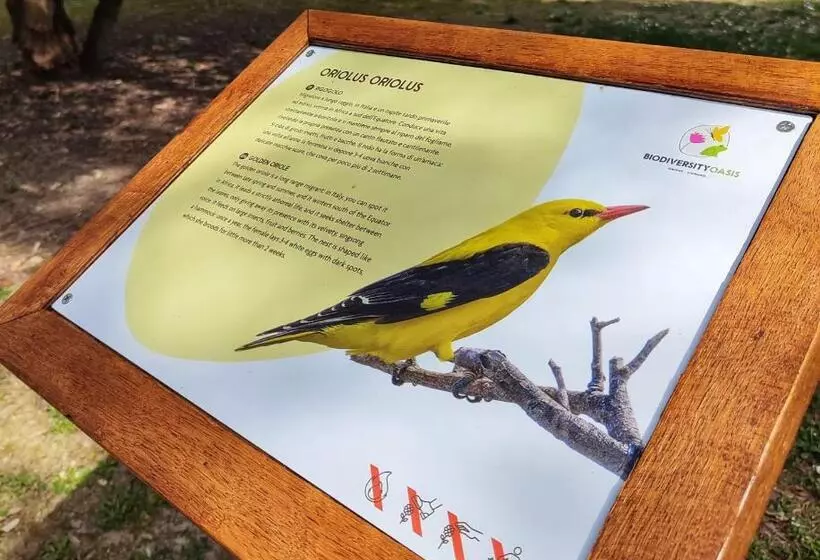 هتل Green Village Eco Resort