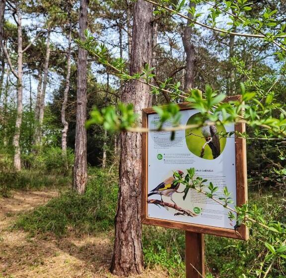 ホテル Green Village Eco Resort