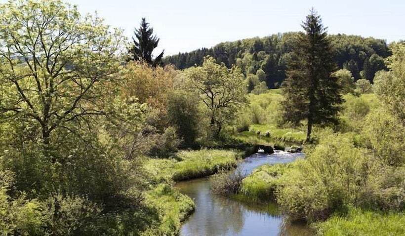 בית מלון כפרי Moulin Des Truites Bleues