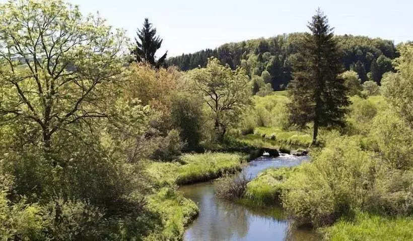 Отель Moulin Des Truites Bleues