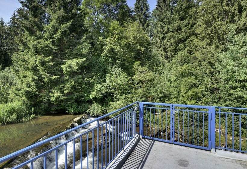 בית מלון כפרי Moulin Des Truites Bleues