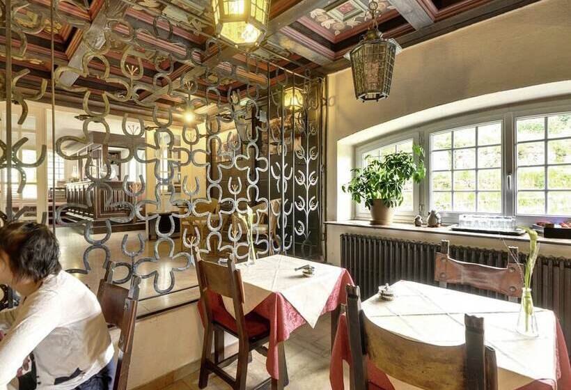 בית מלון כפרי Moulin Des Truites Bleues