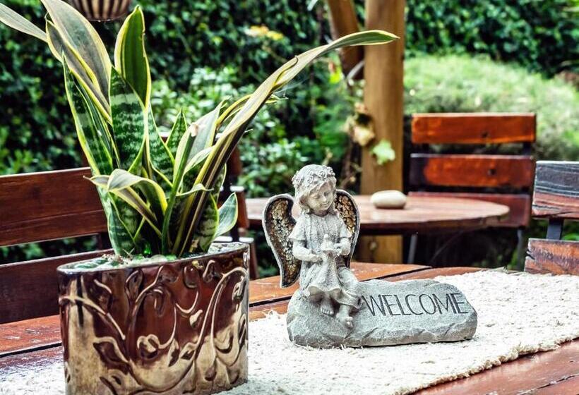 בית מלון כפרי Sunward Park Guest House & Conference Center