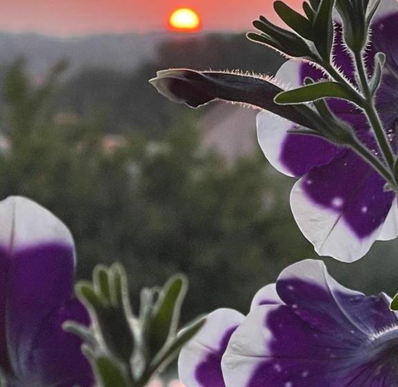 فندق Villa Natalija