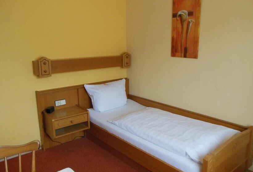 فندق صغير Grüner Baum