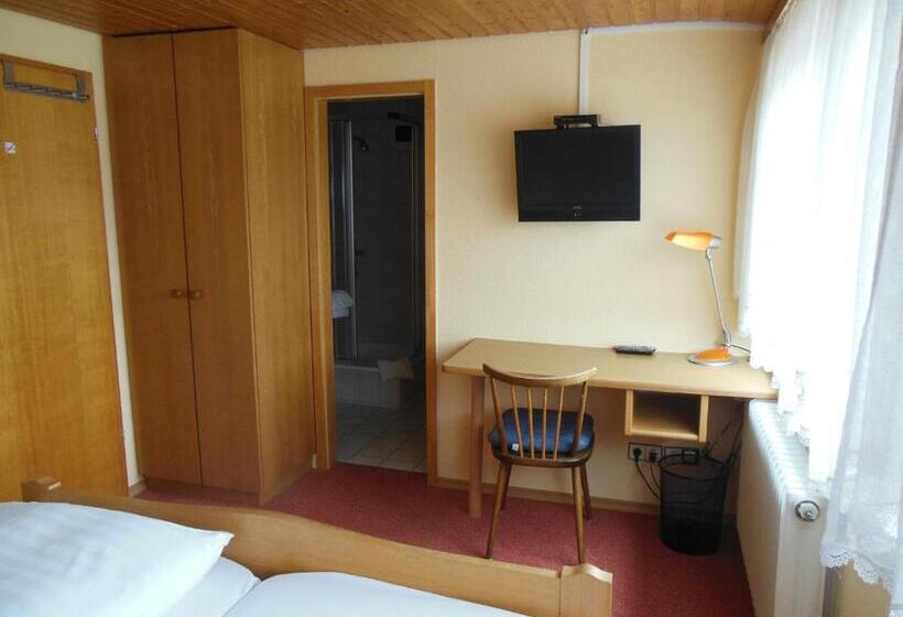 فندق صغير Grüner Baum