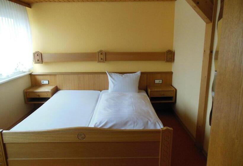 فندق صغير Grüner Baum