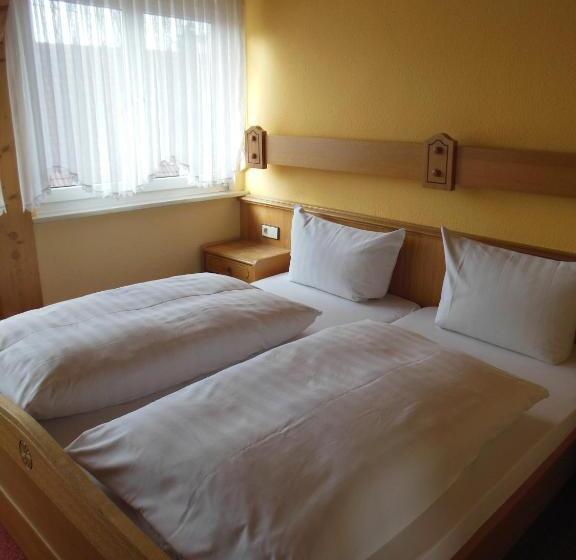 فندق صغير Grüner Baum