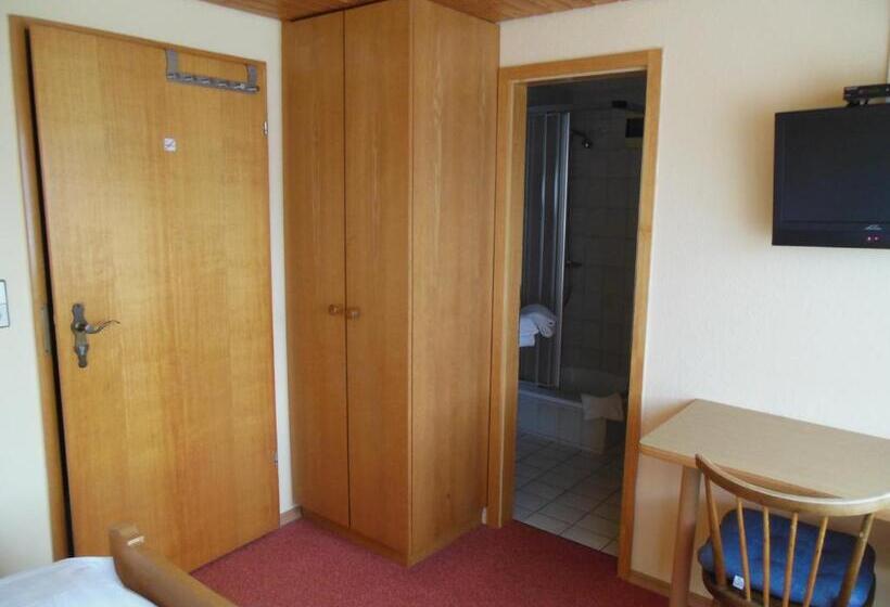 فندق صغير Grüner Baum