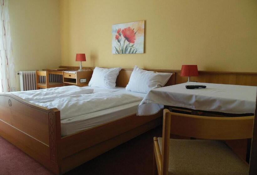 فندق صغير Grüner Baum