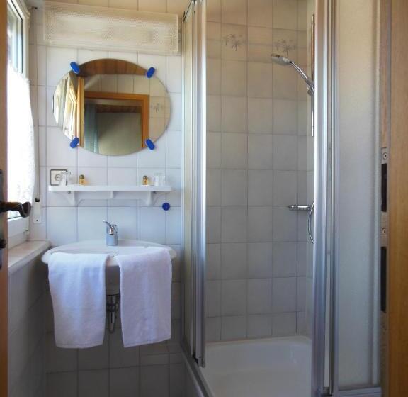 فندق صغير Grüner Baum