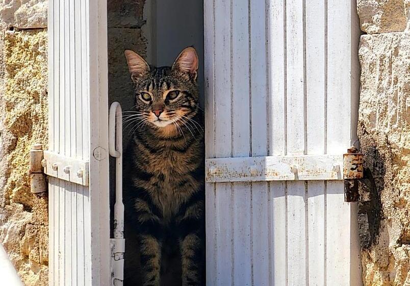 צימר Le Bonheur  Suite Cognac