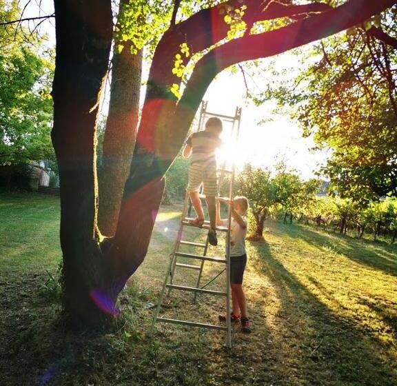 צימר Le Bonheur  Suite Cognac