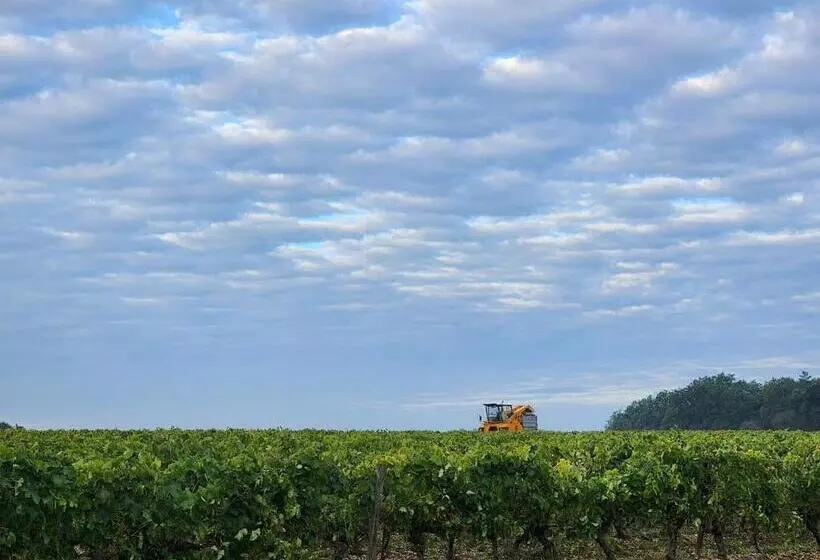 ベッドアンドブレックファースト Le Bonheur  Suite Cognac