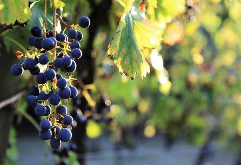 צימר Le Bonheur  Suite Cognac