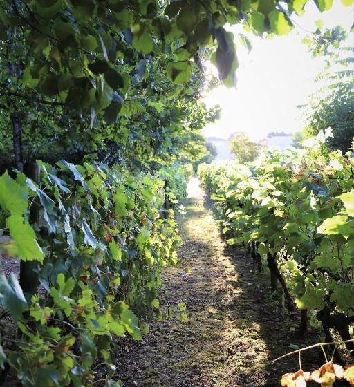 צימר Le Bonheur  Suite Cognac