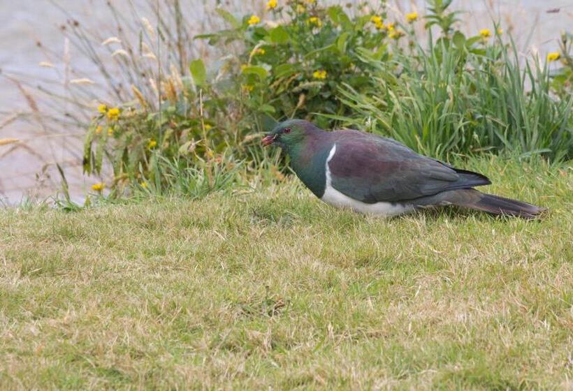 مبيت وإفطار Sails Ashore Lodge