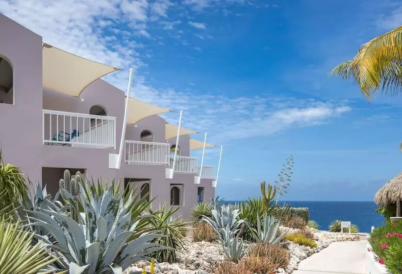 Coral Estate Luxury Resort