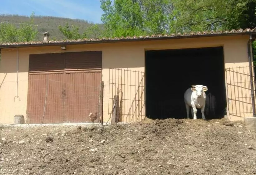 Hotelli Agriturismo Tre Monti