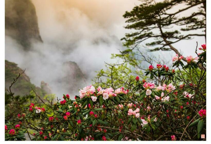酒店 Huangshan Paiyunlou