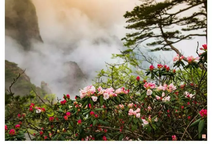 ホテル Huangshan Paiyunlou