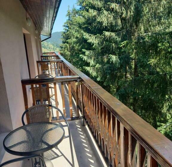 Hotel Pensiunea Mario