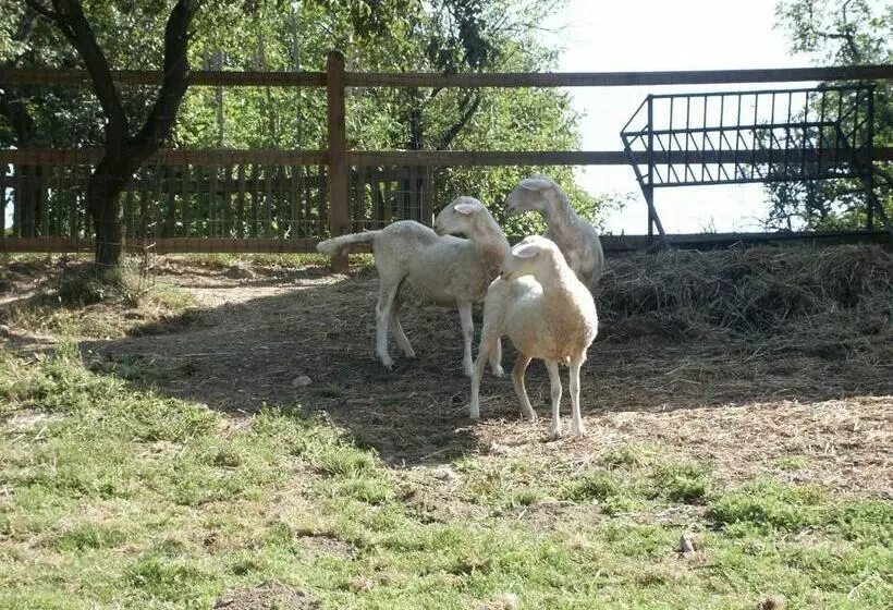 هتل Pri Lazarju Farm Stay