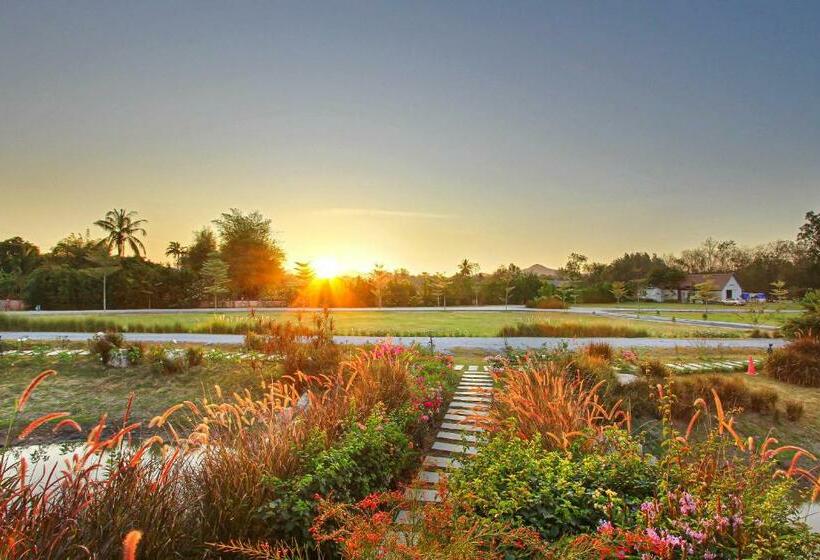 Otel White Knot Khao Yai