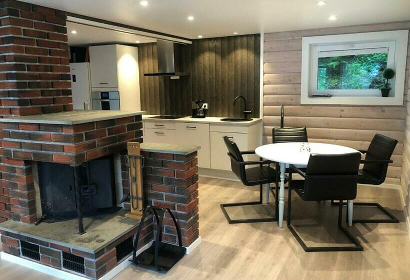 بنسيون Jolster Sauna Apartments